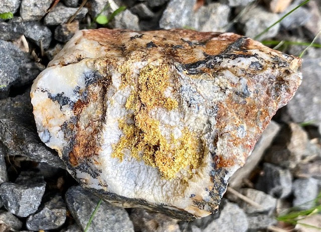 A Guide To Metal Detecting For Gold Nuggets