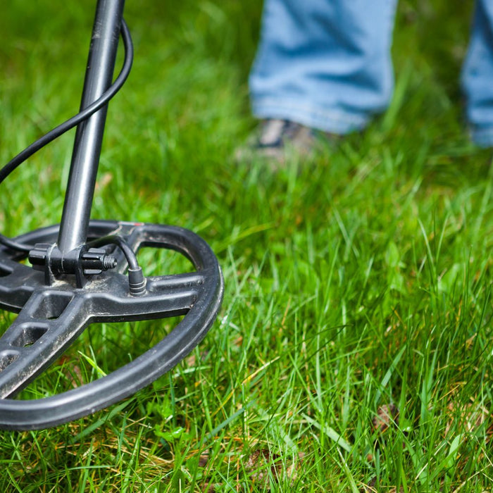 3 Must-Have Accessories for Metal Detecting
