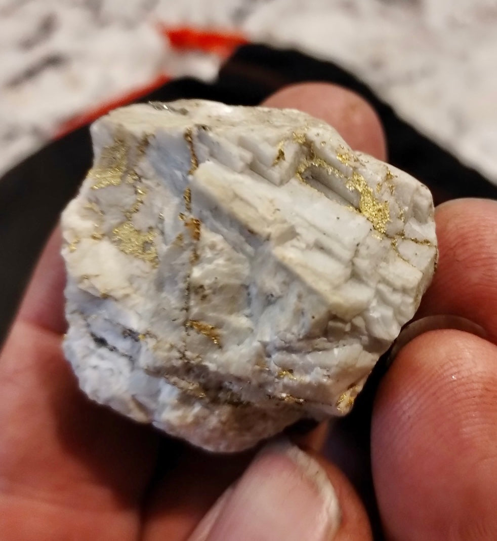 HOW TO PREPARE FOR GOLD SEASON